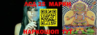 ПСИЛОЦИБИНОВЫЕ ГРИБЫ Дубна