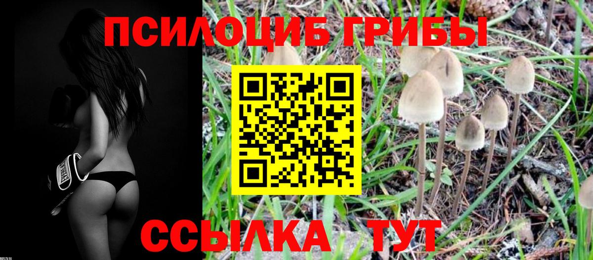 Псилоцибиновые грибы мицелий Майский