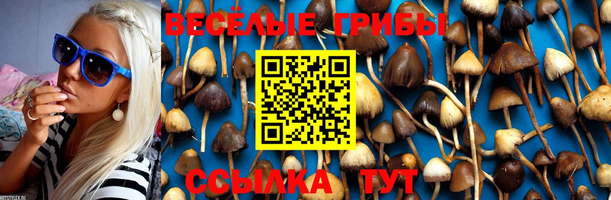 Майский  Галлюциногенные грибы мухоморы  Псилоцибиновые грибы MAGIC MUSHROOMS  Вход с VPN 